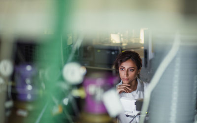 The Hard Truth About Innovation Cultures